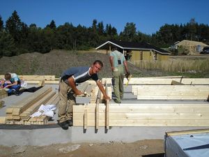 construction de la maison en bois en kit louisa