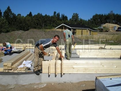 construction de la maison en bois en kit louisa