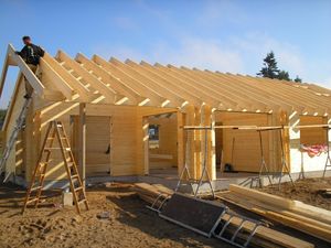 construction de la maison en bois en kit louisa